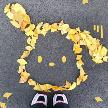 ���ô�ֺ����������� ���º������ǳ����°�