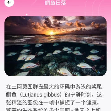 ǧ����