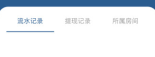 理账狮 理账狮
