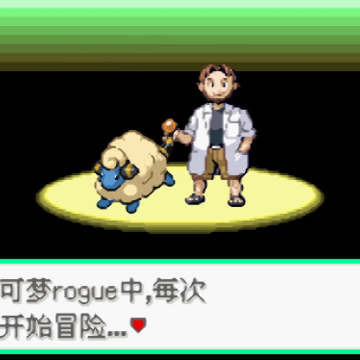 �ڴ�����rogue