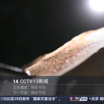 �뿴����app��Ѵ�����(�뿴TV)
