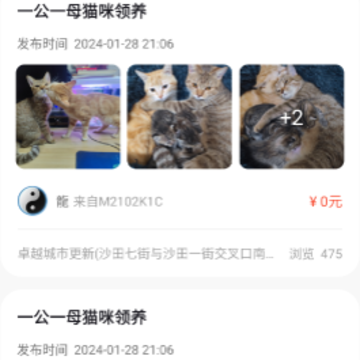 宠物领养互助 宠物领养互助