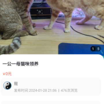 宠物领养互助 宠物领养互助