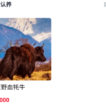��������.png