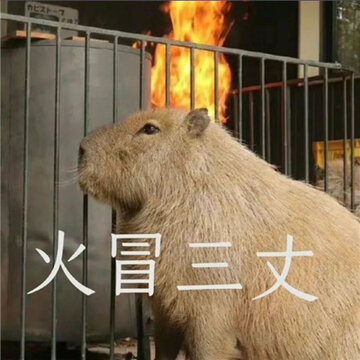 ɳ���������˳����� ������ͱһ��·���ĺ���