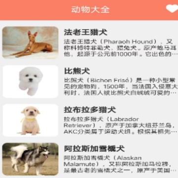 ���ۿ�app