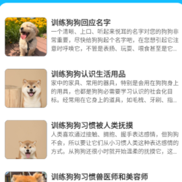 ����Ի�������