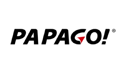 Papago记录仪 Papago记录仪