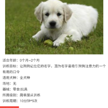 猫狗交流翻译助手 猫狗交流翻译助手