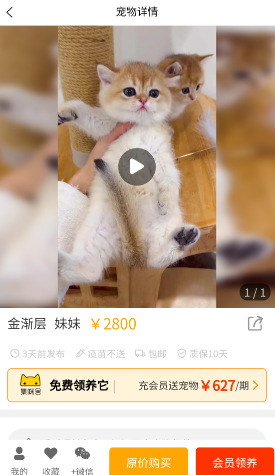 集咪舍 集咪舍