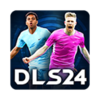 �λ���������2024(DLS24)v11.050��׿��