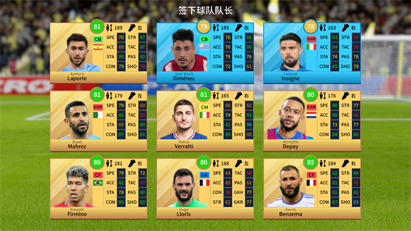 �λ���������2024(DLS24)v11.050��׿��