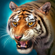 �ϻ�ģ����olv2.2.0 ���İ�