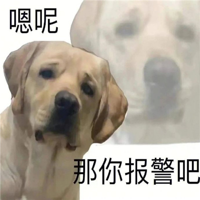 �����õı��鳬�����ر� �������㱨����