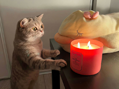 ��Զ��Ҫ��ǰ���ǵ�˵˵ ��ҪԤ֪���յĶ̾�