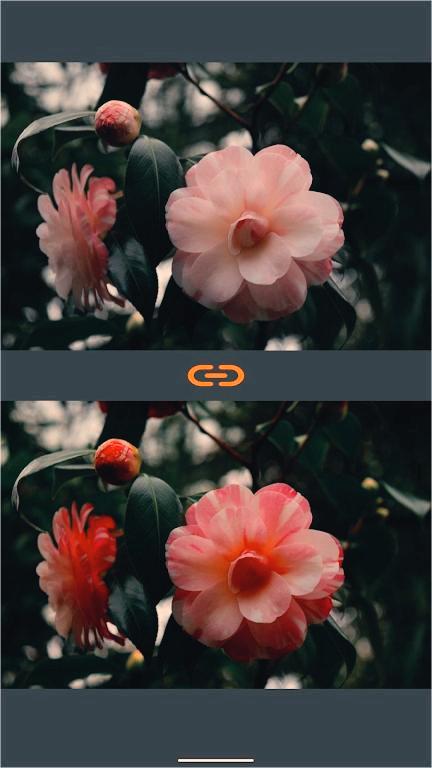 VESͼ�����Ƭ���бȽ�v2.2.6 ���°�