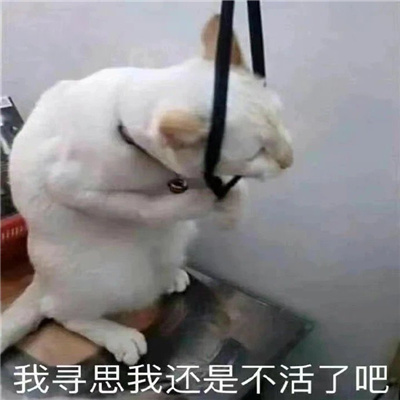 ����ֹ�ϵ�г����õı��� ��Ѱ˼�һ��ǲ����˰�