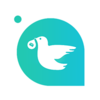 Ǫ��v1.3.1 �ٷ���
