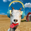 ɽ��ģ����2024v1.1 ����