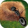 蚂蚁打不过v1.0.0 安卓版