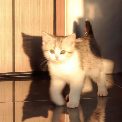 ��ϲ����΢�ű���ͼ ÿ�Ŷ��Ǻ�������ͼ�ϼ�