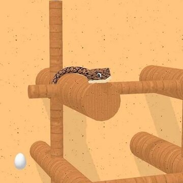 ���߲ٳ�Snake Playground