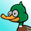 Ѽ(Duck Hunt Frenzy)v1.2 ׿