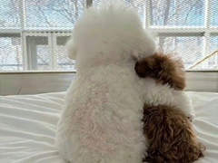 �˼�����ȴ�е����ĵ���ʵ��¼ ��ʵ�Ҵ����ĵĶ̾�