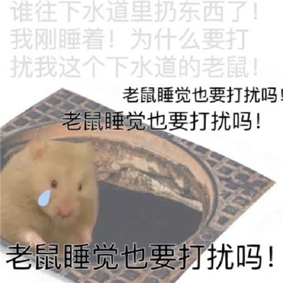 ����ϵ�г����õı����ȫ �˻������в������