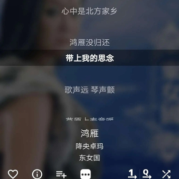 Musicolet�������İ�apk