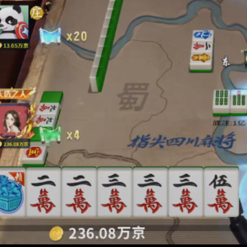 ָ���Ĵ��齫Ѫ��������