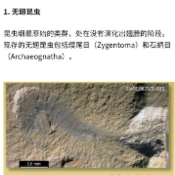 慢读app 慢读app