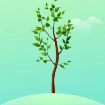 ��è���ɷ�����app