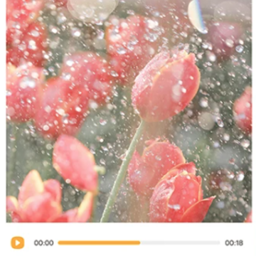 魔力音乐相册app 魔力音乐相册app