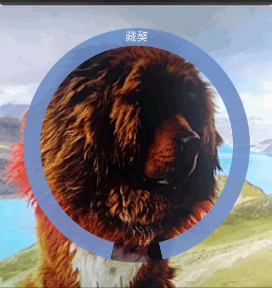 哈狗万能拍照识别最新版本 哈狗万能拍照识别最新版本