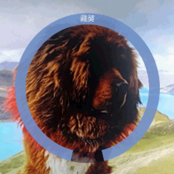 哈狗万能拍照识别最新版本 哈狗万能拍照识别最新版本
