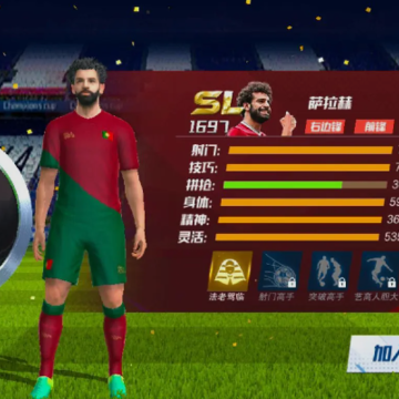 ���11��������