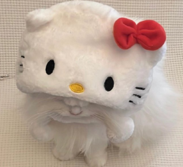 �������������˵�ǩ�� �˼��˰���ǩ���Ķ�