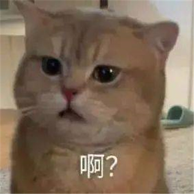 ��̫����������ͷ��ϼ� ��һ��Ҫ�����ú�����ȥ������