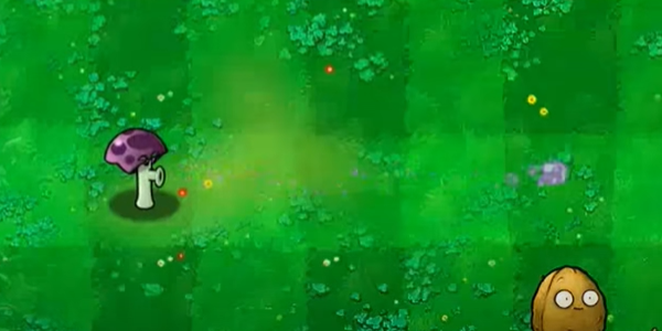ֲ���ս��ʬ��С��֮��
