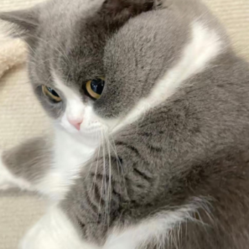 �߶˾ֺ������ק��ǩ�� �������קק�̾�ǩ��