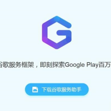 2024googleplay����������