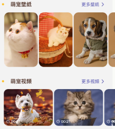 猫咪聊天翻译器app