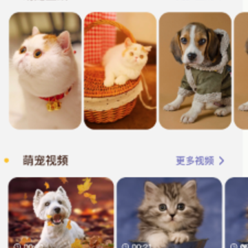 è�����췭����app