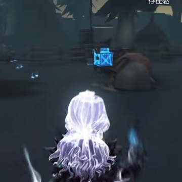 第五人格共研服 第五人格共研服