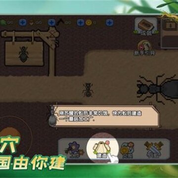 蚂蚁之王 蚂蚁之王
