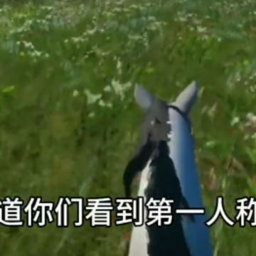 今天你骑马了吗游戏 今天你骑马了吗游戏