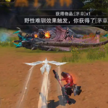 �Ի����������
