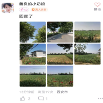 探蜜约会 探蜜约会