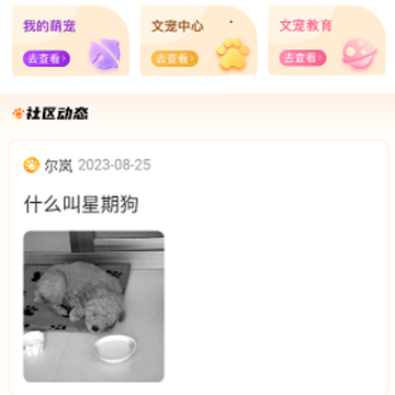 缘宠 缘宠